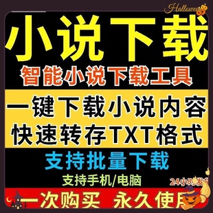 网络小说一键下载工具多种小说快速下载txt格式 电脑手机下载软件