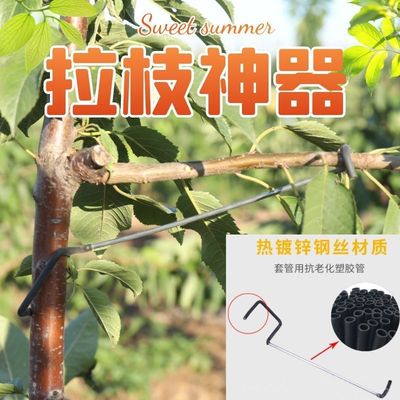 果树拉枝器定型器开角器别枝器压枝改进新型分枝器开犄角工具