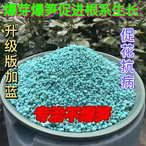 月季花专用优肽氮肥高钾爆笋爆花