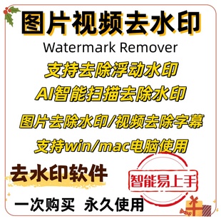 视频去水印HitPaw Watermark Remover 软件工具WIN MAC处理图像