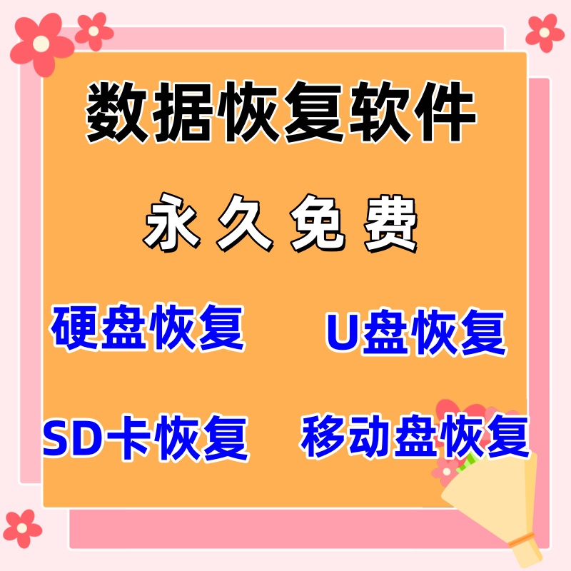 电脑移动硬盘数据恢复软件工具sd卡U盘提示格式化误删除损坏恢复