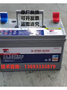 天龙免维护蓄电池6-FM-930/830/720/670/550/450发电机组电瓶12V