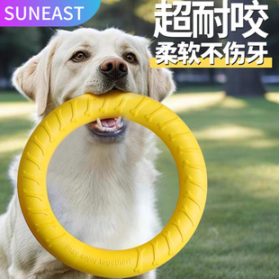 狗狗玩具互动圆环金毛泰迪大小型犬拉环磨牙耐咬狗解闷神器狗用品