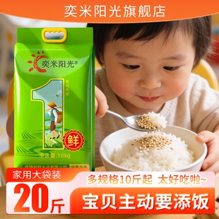 东北大米10斤装2025年新米盘锦蟹田米5kg珍珠米产地发货农家香米