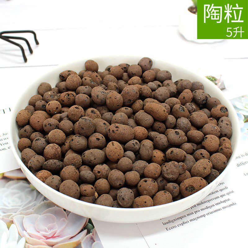 轻质陶粒防烂根隔水垫底多肉透气花盆装饰铺底铺面种植吸水保水用|msdalam kategori penghantaran bunga/bunga simulasi/tumbuhan berkebun, Gardening Supplies, baja rumah berkebun/tanah pemakanan/penyelesaian nutrien - dari Buy2taobao.com untuk memberikan perkhidmatan ejen Taobao profesional membeli