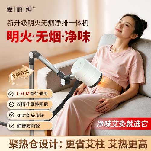 爱丽绅明火无烟净排一体机