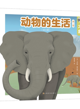 动物的生活第2辑3册 大象、瓢虫、猫   3-6岁儿童自然通识类我的野生动物朋友生命的故事科普绘本童书籍阅读 亲亲科学图书馆