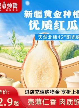 薛记炒货 红瓜子120g五香味红西瓜子红色瓜子送礼推荐年货礼袋装
