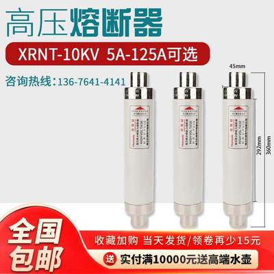 高压限流熔断器XRNT10-12KV10A20A40A50A63安80A100A箱变保险管丝