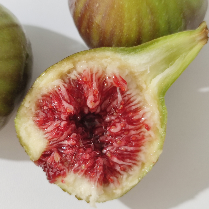 果树苗落晚先生多品种落叶