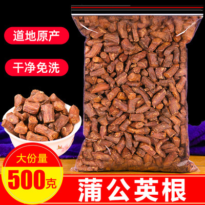 蒲公英根500g野生四季灭火茶