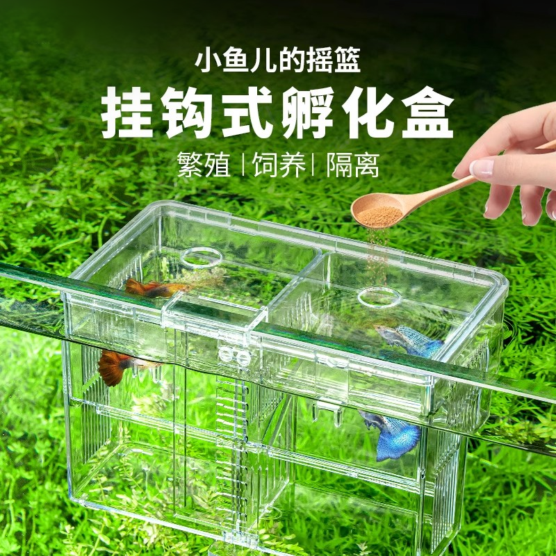 孔雀鱼繁殖盒斗鱼鱼缸亚克力分隔