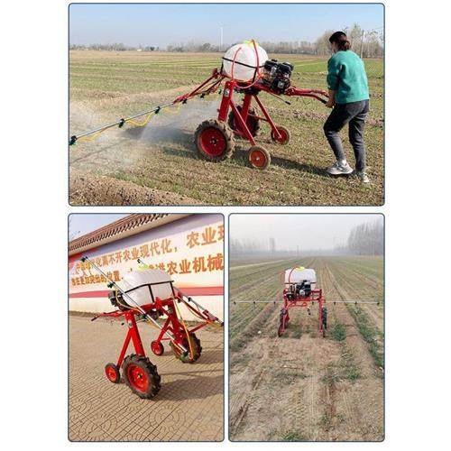 农田大棚四轮喷药机农用高压手推式新款手扶自走式打药机汽油柴油,农机/农具/农膜,打药机/弥雾机,淘宝优惠券,粉丝福利购,淘宝优惠卷