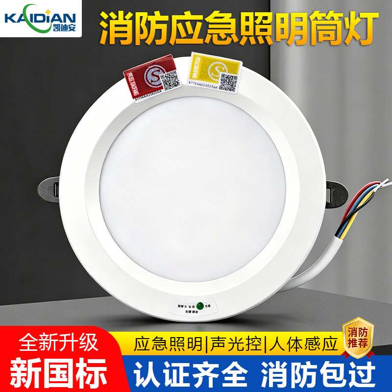 消防应急照明筒灯二合一220v图片