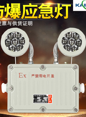 防爆应急灯LED照明灯消防应急充电超亮商用工厂IP6防爆双头应急灯