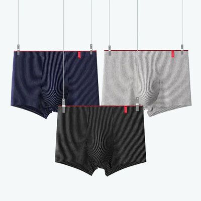4 Pcs Boxer Men Sexy Stripe Panties Underwear Sexy Knickers