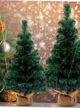 Christmas 60CM Christmas tree tabletop decoration圣诞树