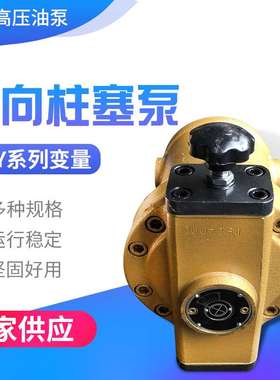 SCY14-1B系列CY系列轴向柱塞泵液压泵高压油泵精工牌启东高压油泵