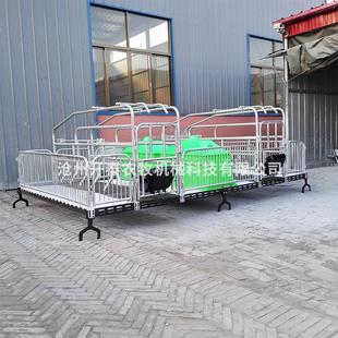 升级版欧式母猪产床猪分娩床猪产床双体连体产床升级版母猪产床