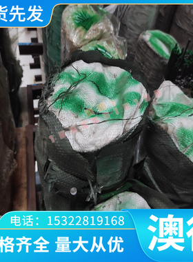 C95800铝青铜合金 ZCuAl9Fe4Ni4Mn2铝青铜管C619 铝青铜板料