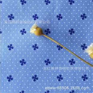 c21 c32 2股线色经白纬 2双经单纬32 全棉牛津纺印花布C40