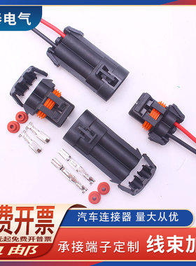 12052613/12065863汽车线束连接器公母插头2孔DJ70282C-4.8-11/21