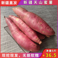 新疆天山密薯5斤装新鲜现挖红心红薯非烟薯小红薯紫薯新疆直发