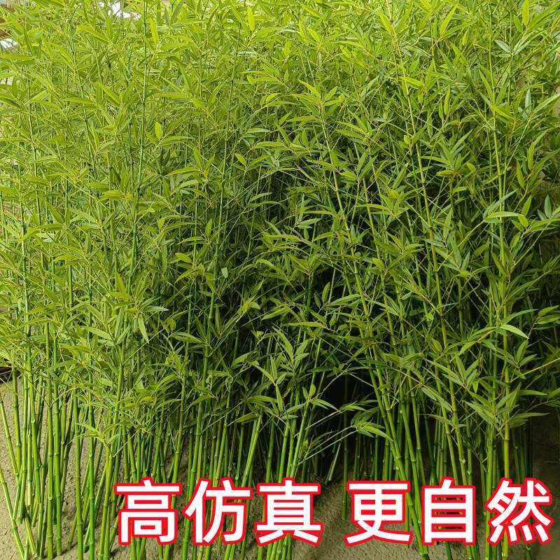 仿真竹假竹子装饰客厅隔子断内室外阳台植物墙仿生室竹子仿真绿植