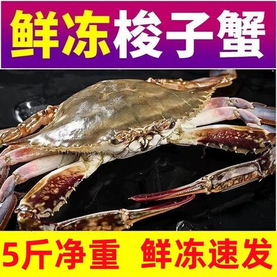 5斤梭子蟹新鲜冷冻蟹海鲜海蟹飞蟹白蟹水产海鲜净重香辣蟹