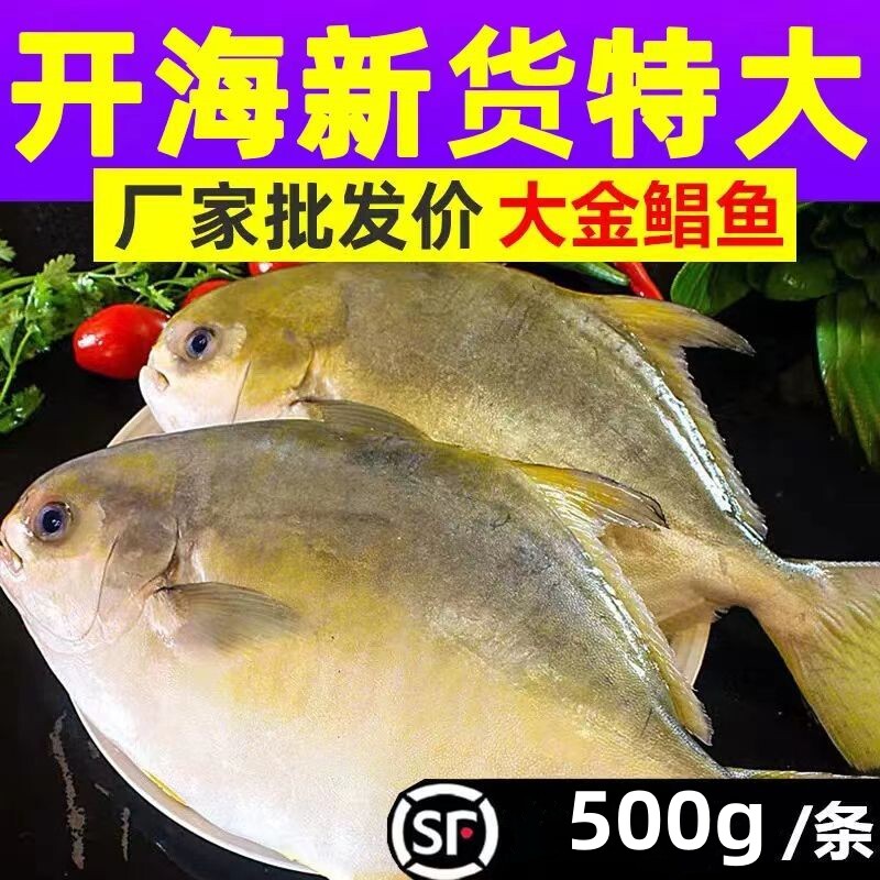 新鲜特大号金鲳鱼鲜活冷冻箱肉鲳鱼平鱼野生白鲳鱼海鲜水产