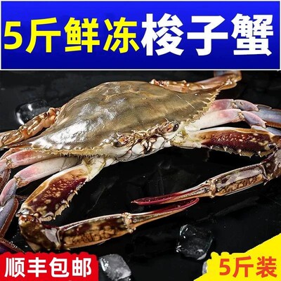 5斤速冻梭子蟹冷冻蟹新鲜顺丰一整箱螃蟹生海蟹飞蟹