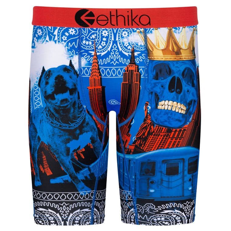 ethika men underpants boxers short boys briefs for sriding