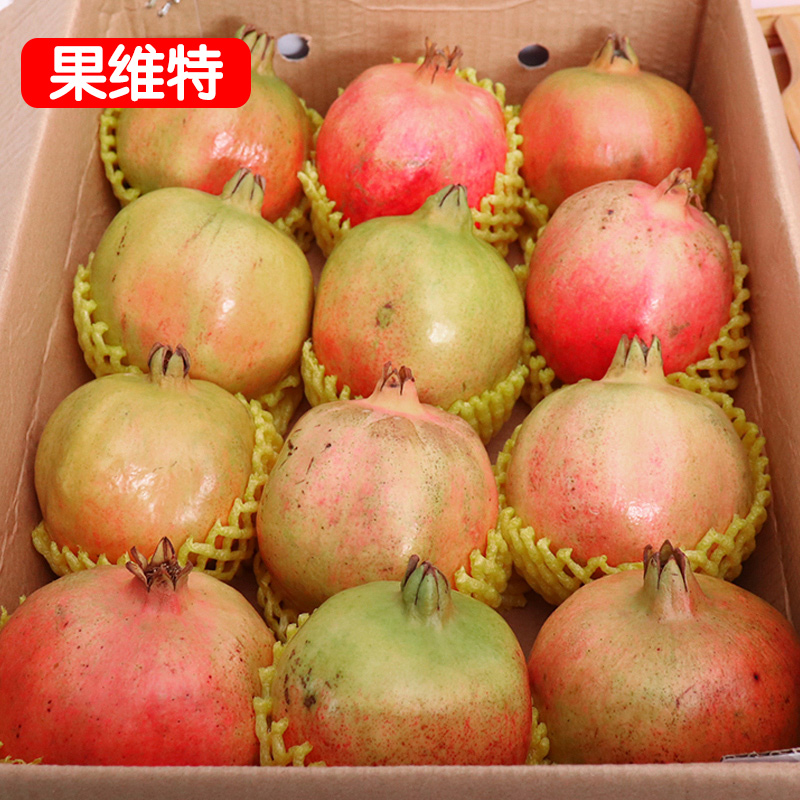 正宗突尼斯軟籽石榴 8斤淨重新鮮水果孕婦四川會理無籽甜石榴大果在類目 水產肉類/新鮮蔬果/熟食, 新鮮水果, 石榴中 - 來自Buy2taobao.com提供專業的淘寶代購服務