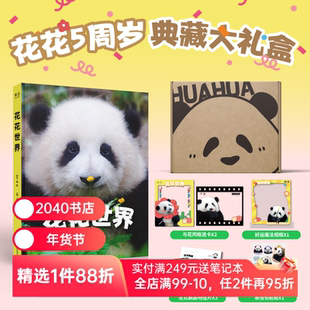 花花世界 邱可摄影 花花5周岁典藏礼盒 赠明信片*3+透卡*2+贴纸+相框 160张高清近照 熊猫周边 治愈萌宠 2040书店
