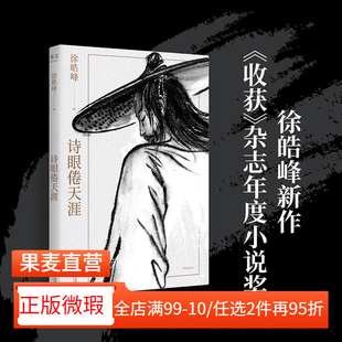 【正版微瑕】诗眼倦天涯 徐皓峰中篇小说集 诗眼倦天涯+脱锁连环脚 江湖故事 文学小说 2040书店