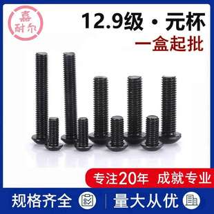 杯螺丝钉 60X35x20盘头元 12.9级半圆头内六角螺栓m6M8 M10xM12M14