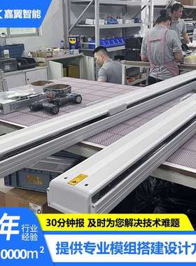 RYK半封闭同步带模组 直线性导轨电动滑台 精密丝杆传动模组RY100