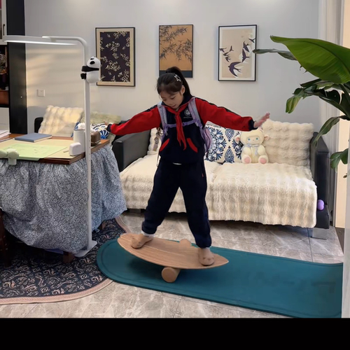 厂家鱼形滑板冲浪板平衡板滑雪瑜伽训练健身专用弯曲木板器材