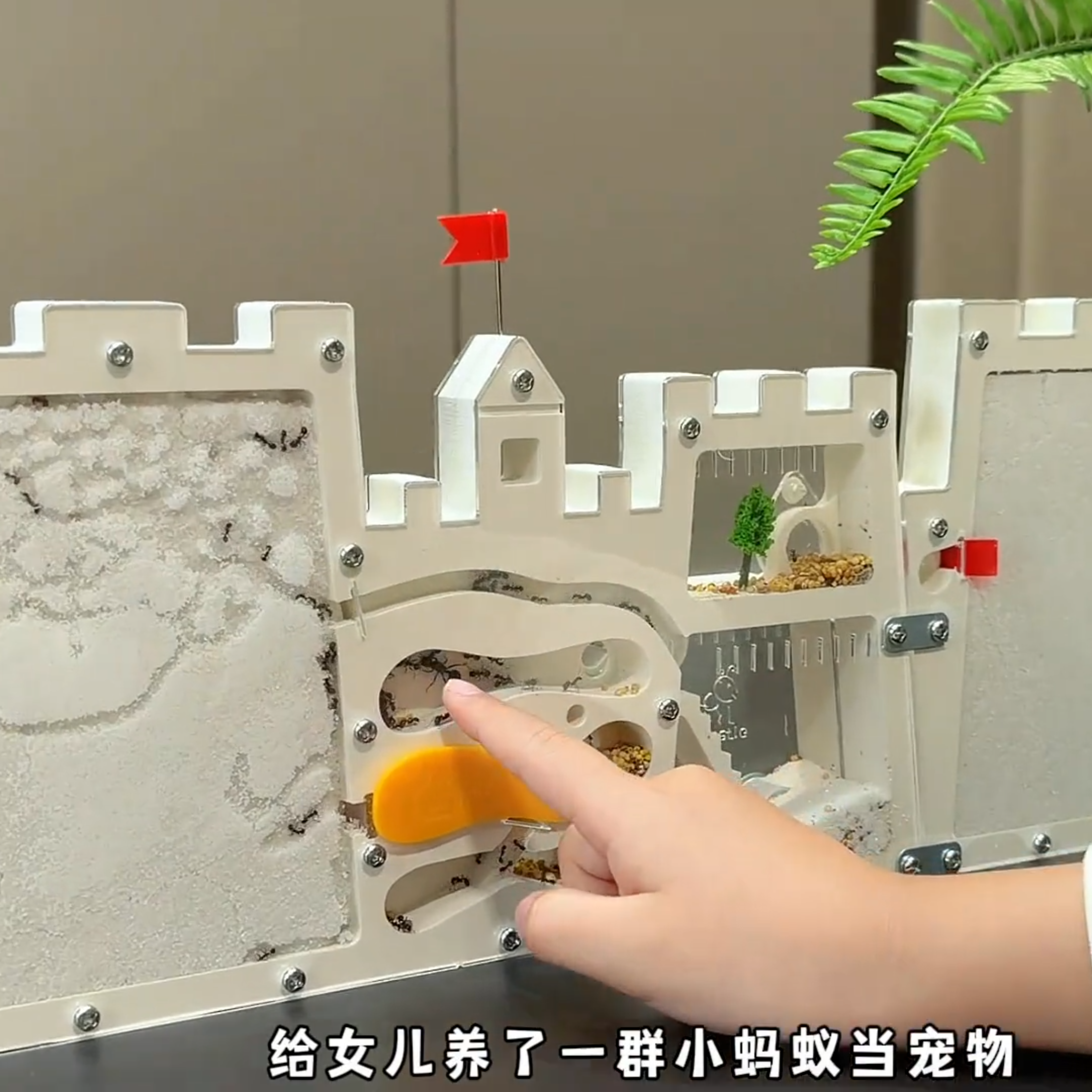 蚂蚁城堡儿童观察盒蚂蚁工坊生态箱屋巢窝学生科学试验科教玩具