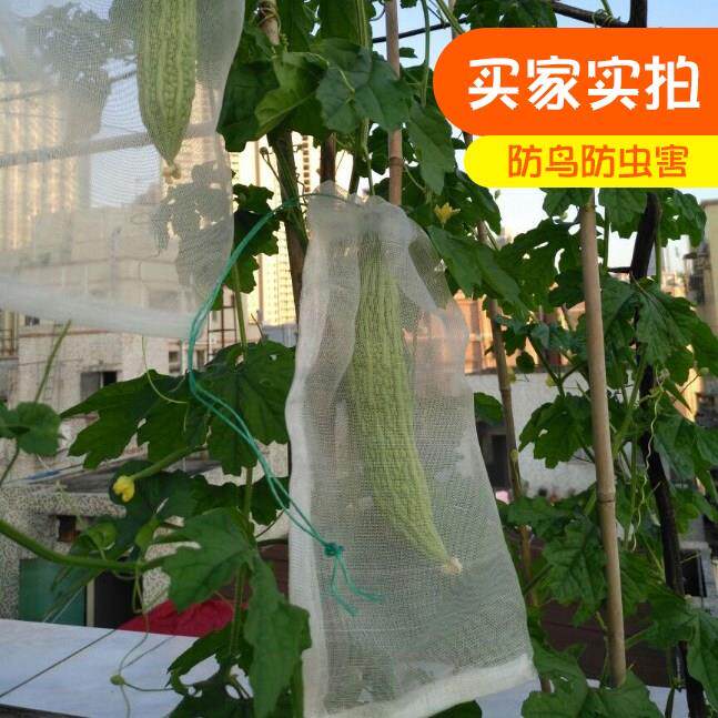 Bird Pest control Nylon mesh Bagging strawberry pitaya Figs fruit grape balconyin the Flower delivery/Flowers simulation/Plants gardening , Gardening supplies , Other Garden Supplies  category - from Buy2taobao.com to provide professional Taobao agent buy service