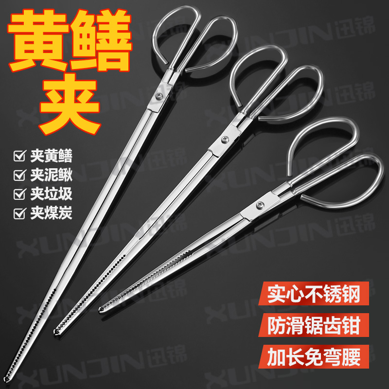 鳝鱼夹泥鳅螃蟹钳子不锈钢黄鳝夹