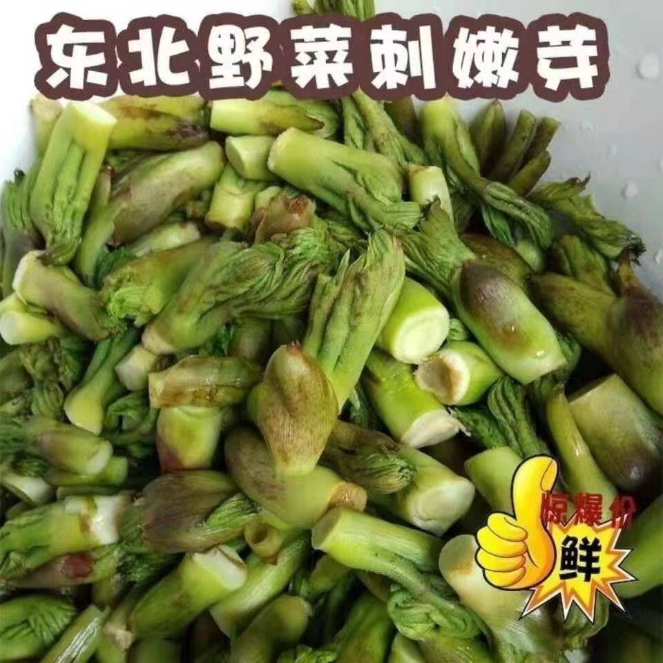 刺老芽野菜新鲜东北特产野生刺嫩其它