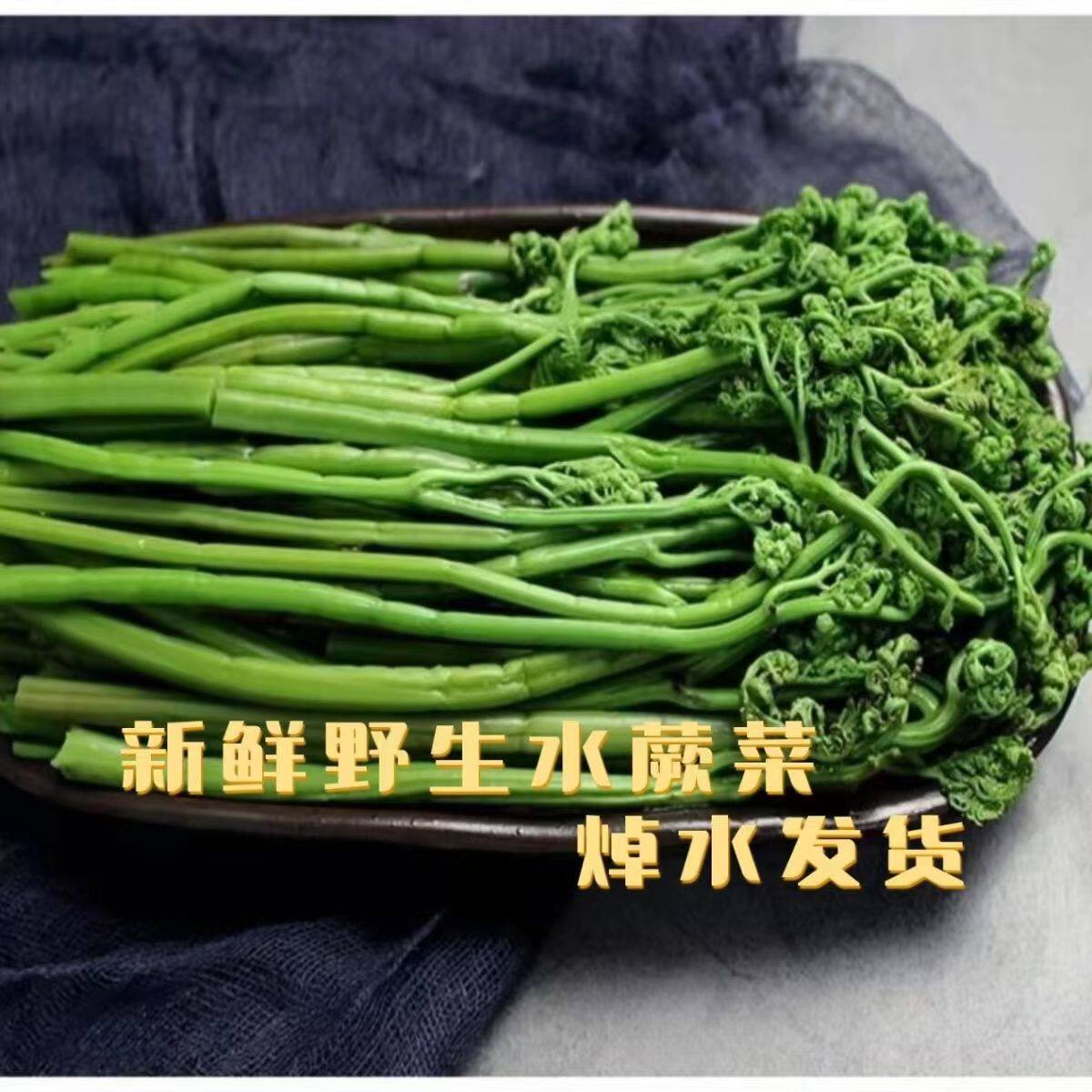 新蕨菜野菜东北特产新鲜焯水山蕨菜水蕨菜凉拌炒食蘸酱菜食用500g
