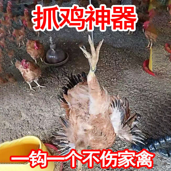 抓鸡神器养殖场不锈钢捉鸡勾户外捉捕抓鸡鸭鹅工具抓鸡脚捉鸡神器