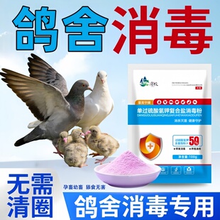 过硫酸氢钾消毒粉高效消毒液不伤鸽群养殖场鸽舍鸽笼杀菌消毒水