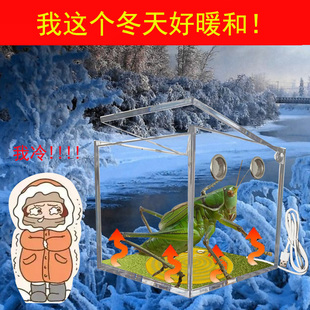 爬宠螳螂加热罐宠物造景盒蝈蝈寄守宫发热盒竹蛉气亚克力宠物盒子