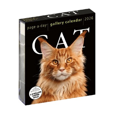 2026年画廊日历猫咪生活