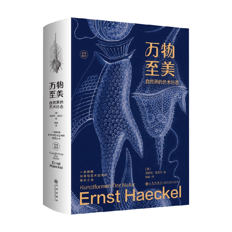 万物至美自然界的艺术形态
