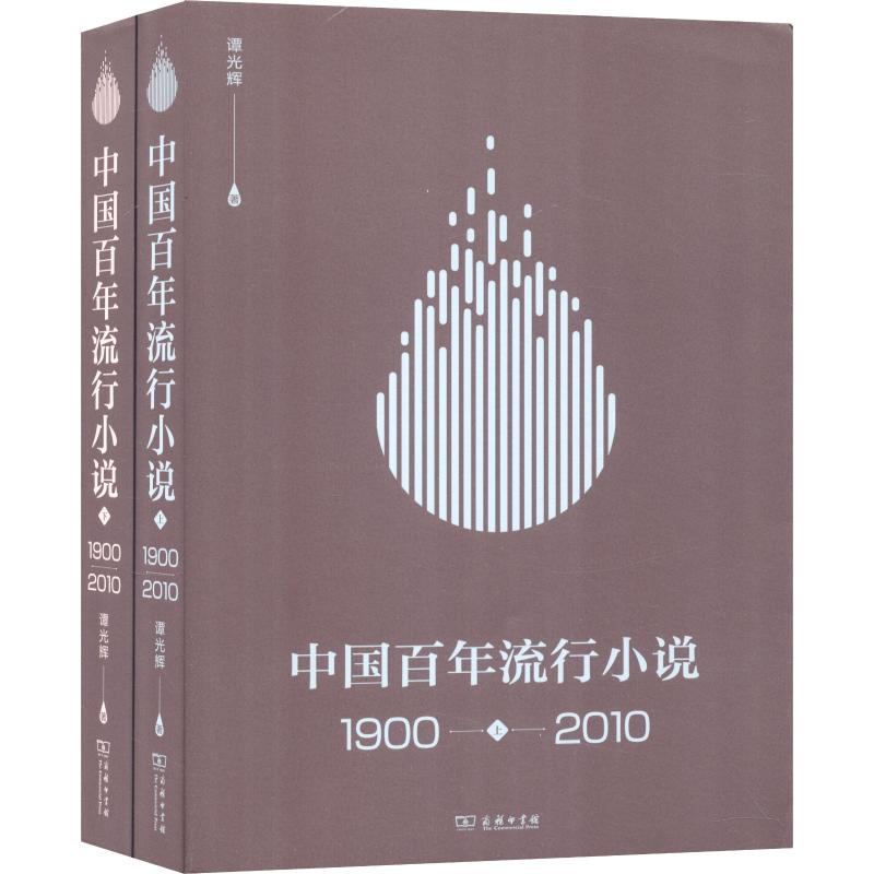 中国百年流行小说 1900-2010(2册)谭光辉著文学理论/文学评论与研究 wxfx