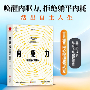 内驱力 唤醒内心的巨人 张涛 著 励志与成功
